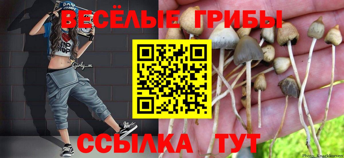 Псилоцибиновые грибы Magic Shrooms  Вход с VPN  Гулькевичи 