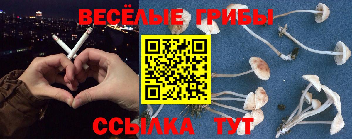 Галлюциногенные грибы GOLDEN TEACHER Гулькевичи